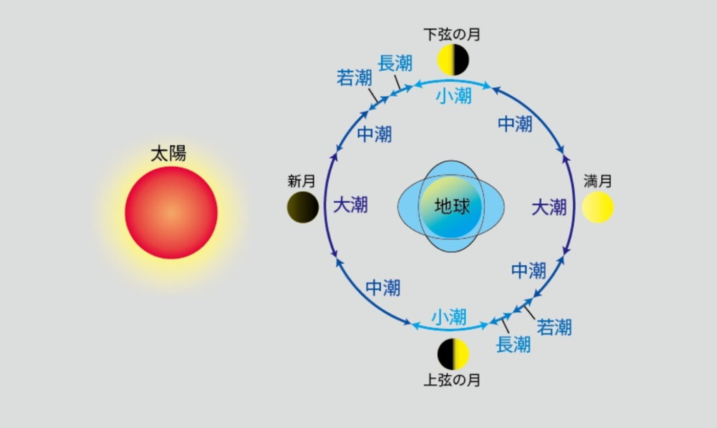 潮汐図